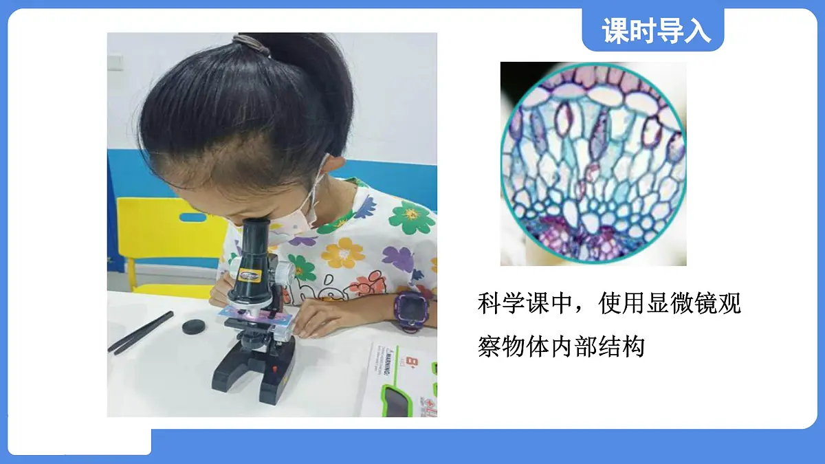 苏科版八年级物理上册 第三章 第四节 透镜的应用(学习、上课课件)第4页