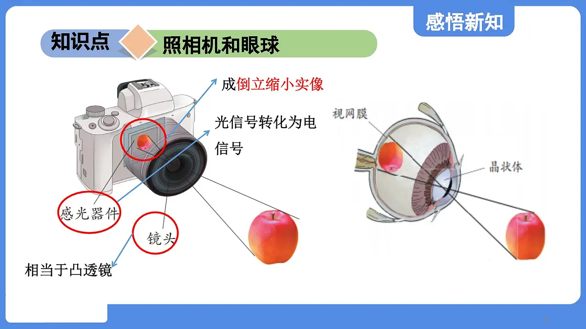 苏科版八年级物理上册 第三章 第四节 透镜的应用(学习、上课课件)第6页
