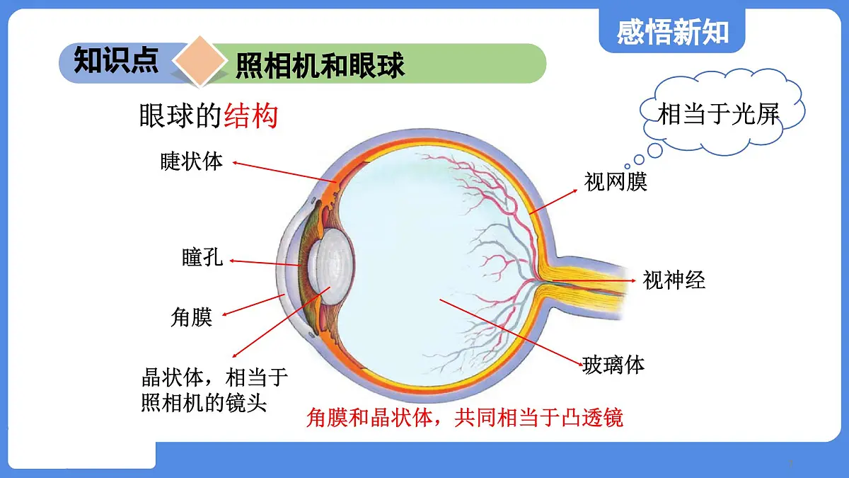 苏科版八年级物理上册 第三章 第四节 透镜的应用(学习、上课课件)第7页