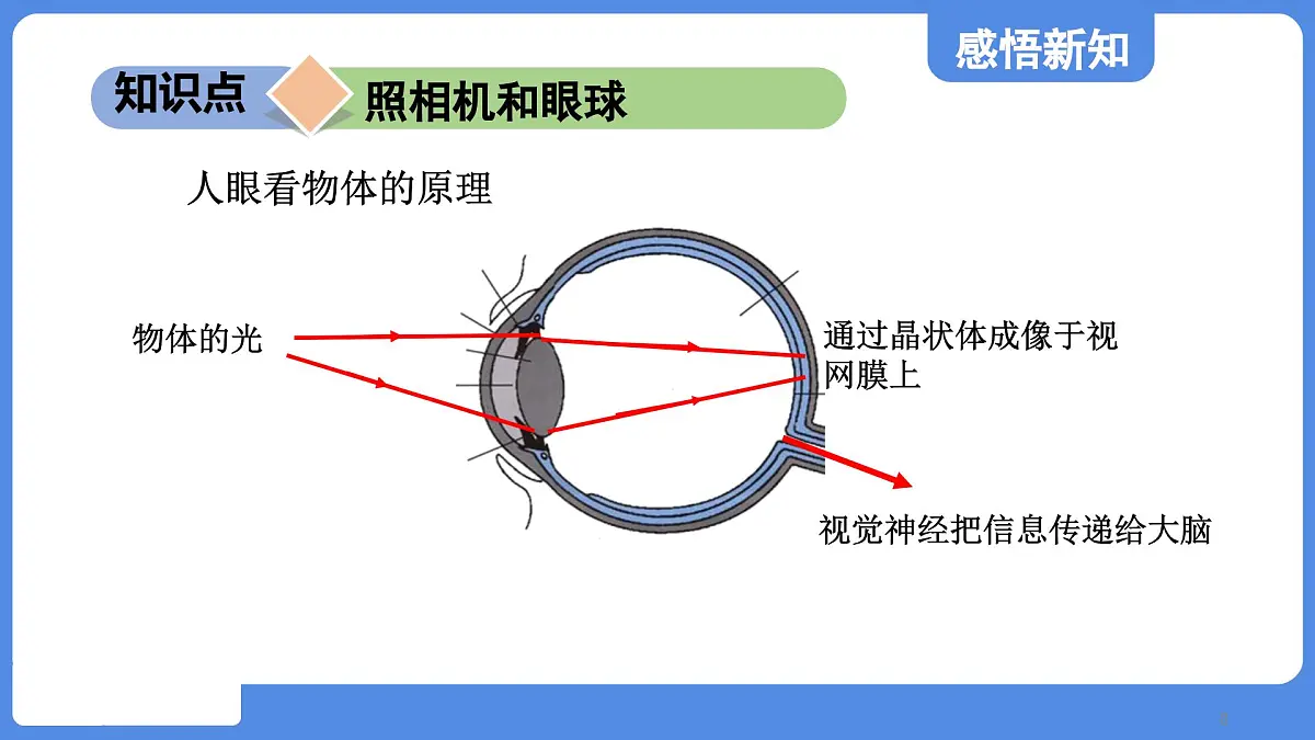 苏科版八年级物理上册 第三章 第四节 透镜的应用(学习、上课课件)第8页