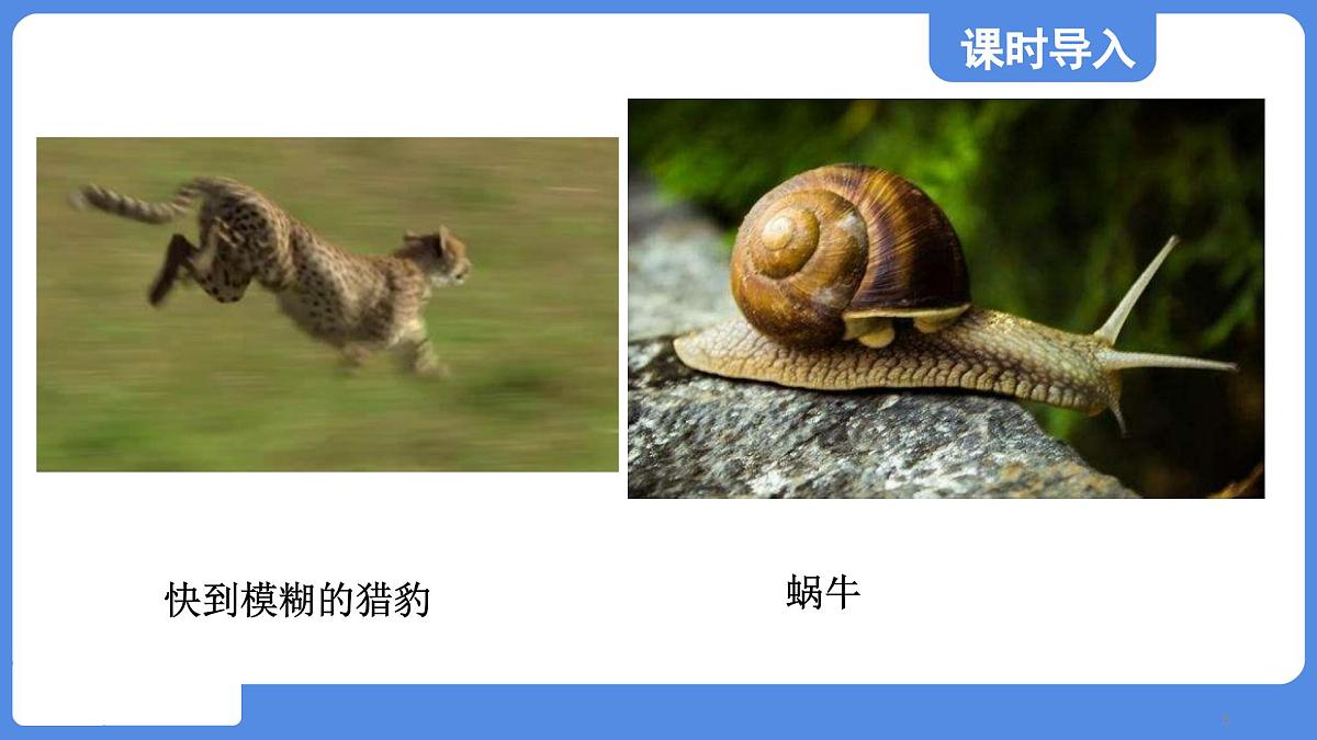 苏科版八年级物理上册 第五章 第二节 速度(学习、上课课件)第5页