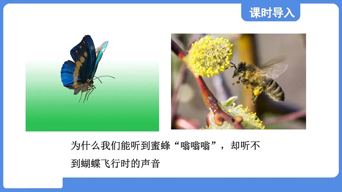 苏科版八年级物理上册 第一章 第四节 人耳听不到的声音(学习、上课课件)第3页