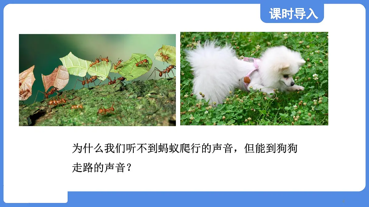 苏科版八年级物理上册 第一章 第四节 人耳听不到的声音(学习、上课课件)第4页