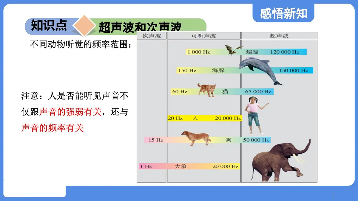 苏科版八年级物理上册 第一章 第四节 人耳听不到的声音(学习、上课课件)第7页