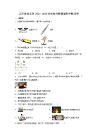 江苏省南京市2024-2025学年九年级上学期期中模拟卷物理试题（解析版）