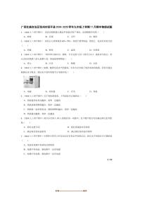 2024～2025学年广西壮族自治区贺州市昭平县九年级上期中物理试卷