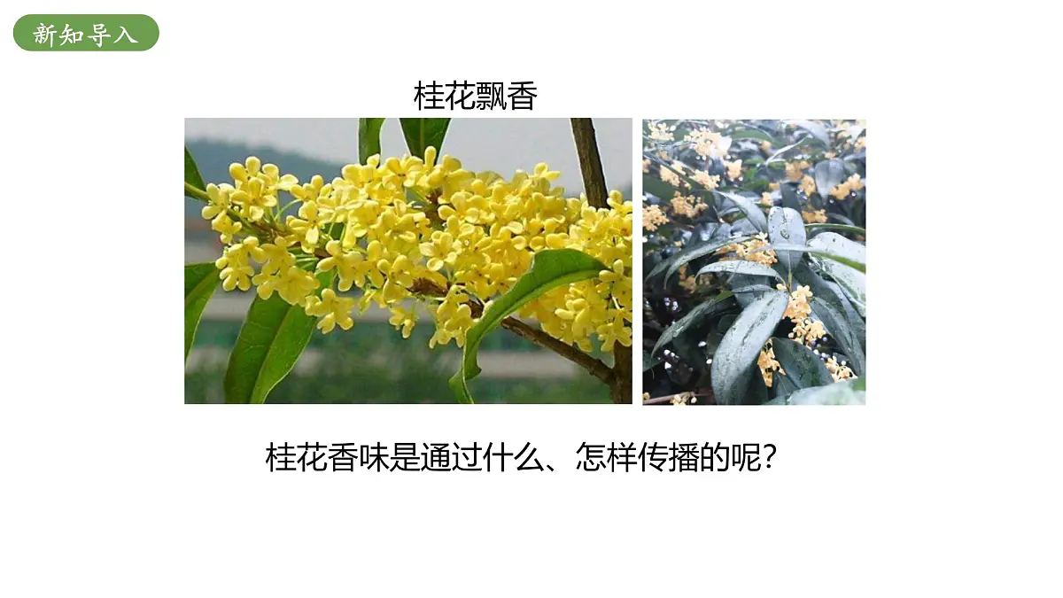 北师大版物理九年级全册 10.2《内能》(课时1)课件第4页