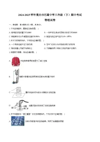 2024-2025学年重庆市巴蜀中学八年级（下）期中物理试卷（含解析）