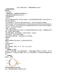 初中物理人教版(2024)八年级上册(2024)眼睛和眼镜教学设计