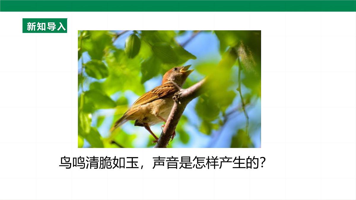 (2024人教版)八年级物理上册2.1 声音的产生与传播 第5页