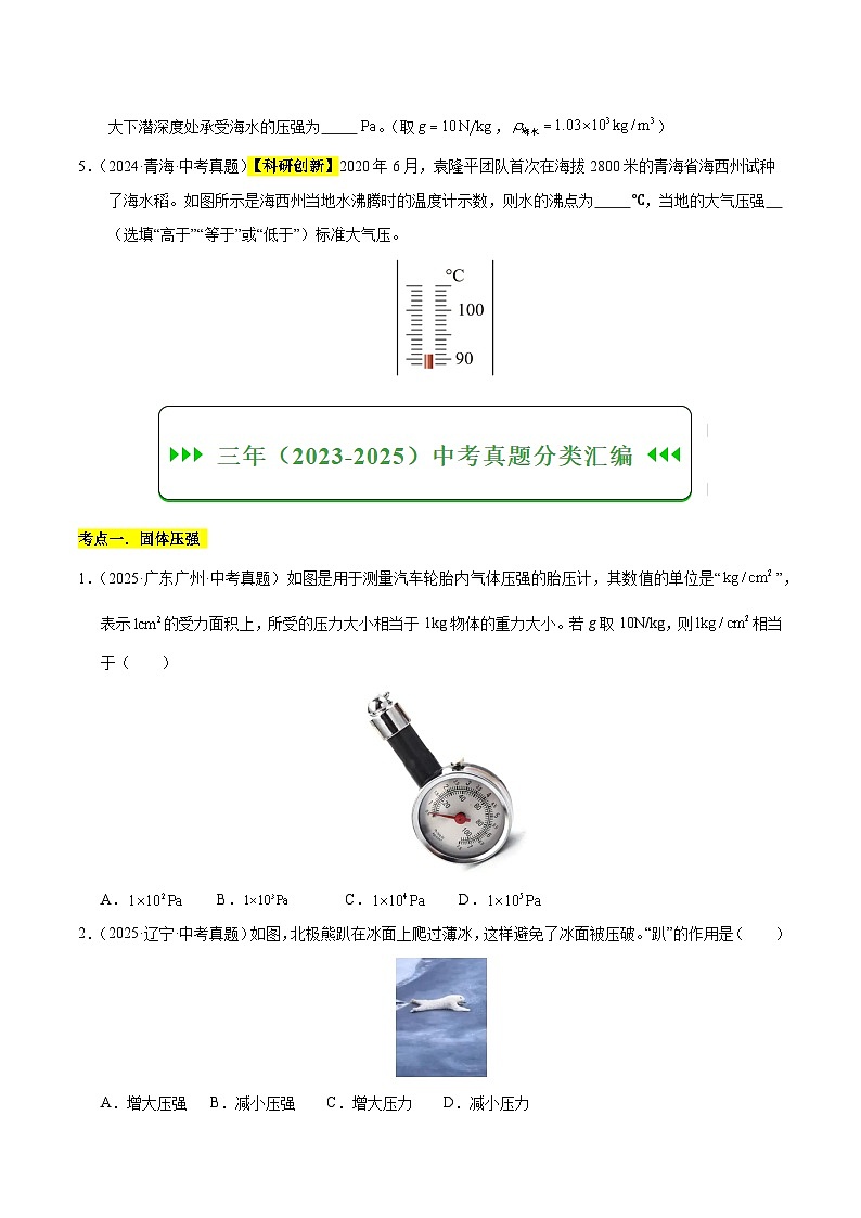 三年(2023-2025)中考物理真题分类汇编:专题10 压强与浮力综合(原卷版)第2页