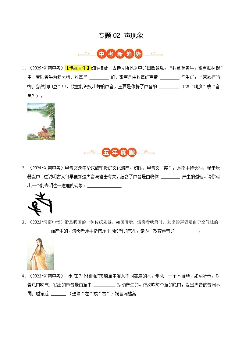 专题02 声现象(河南专用)(原卷版)第1页