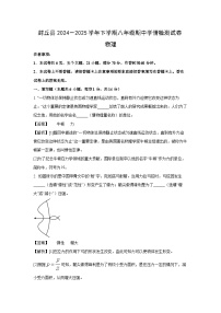 河南省新乡市封丘县2024-2025学年八年级下学期期中物理试题