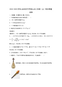山东省济宁市梁山县2024-2025学年八年级上学期期末考试物理试卷（解析版）
