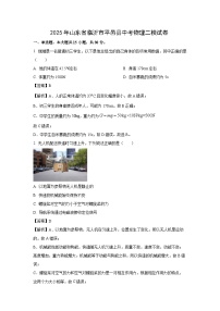 2025年山东省临沂市平邑县中考二模物理试题（解析版）