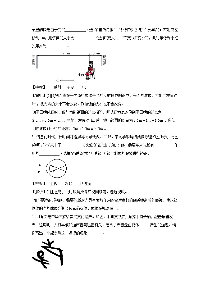 河南省驻马店市泌阳县2024-2025学年八年级上学期期末物理试卷(解析版)第2页
