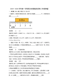 河南省洛阳市偃师区2024-2025学年八年级上学期期末质量检测物理试卷（解析版）