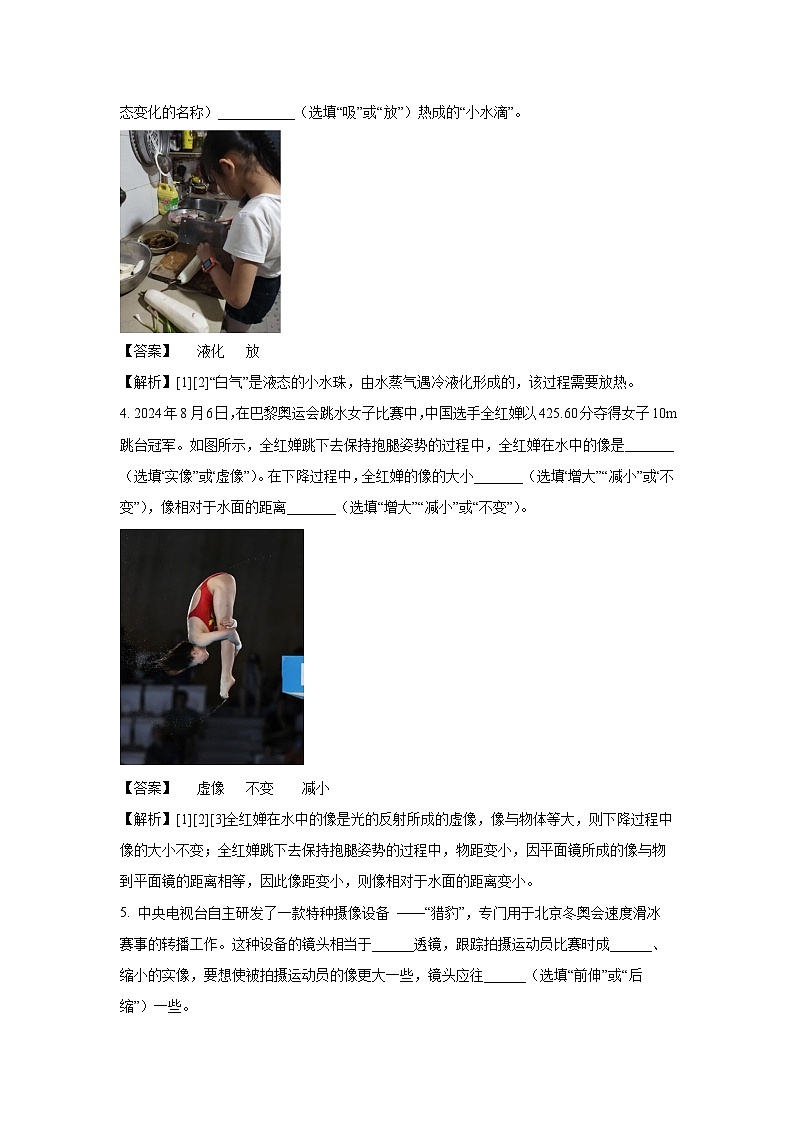 河南省驻马店市正阳县2024-2025学年八年级上学期期末考试物理试卷(解析版)第2页