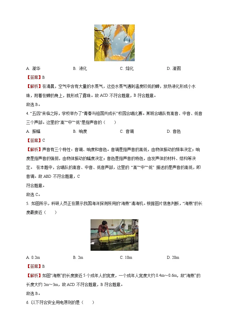 2025年山东省中考物理真题(解析版)第2页