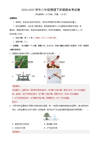 八年级下册物理期末考试卷【测试范围:人教版(2024):第7~12章】(全解全析)(广东省卷专用)-A4