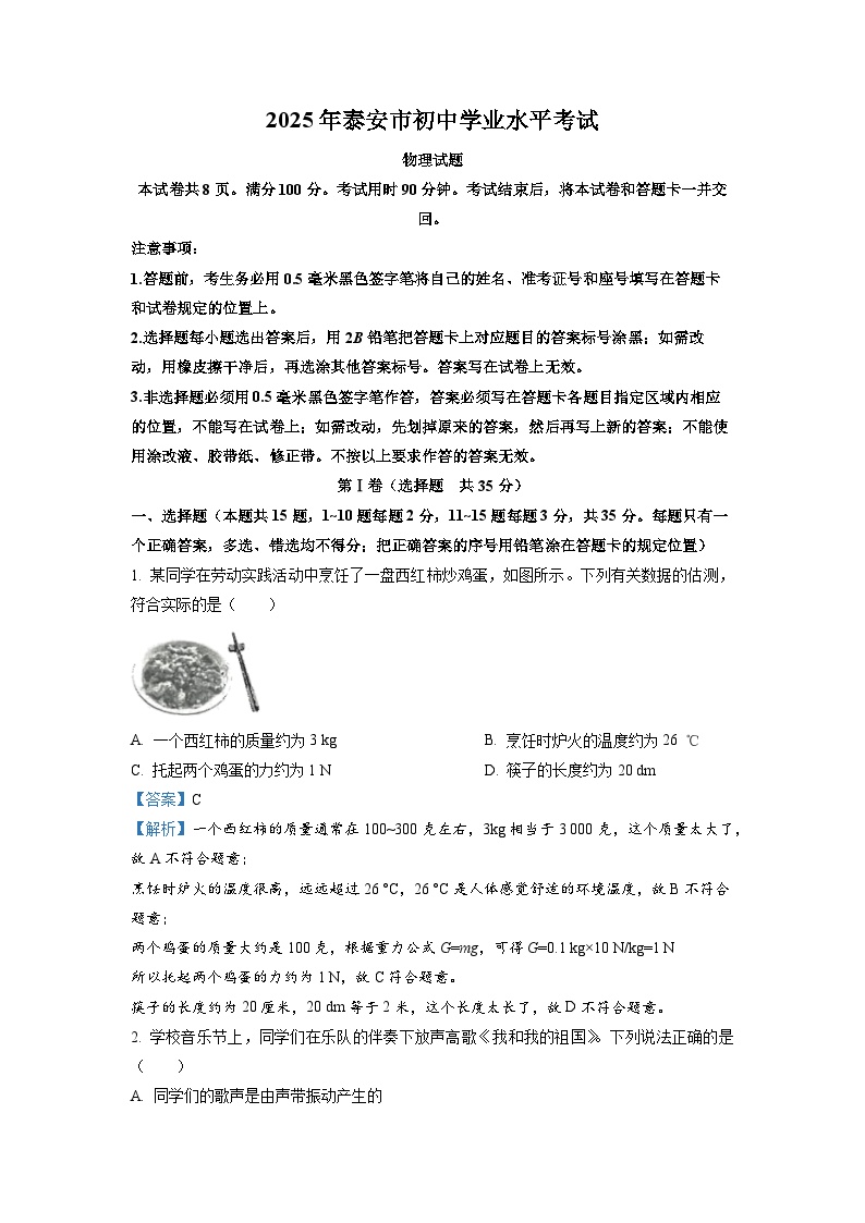 2025年山东省泰安市初中学业水平考试(解析版)物理试卷