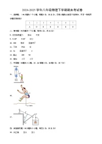 八年级下册物理期末考试卷【测试范围:人教版(2024):第7~12章】(参考答案)(广东省卷专用)-A4