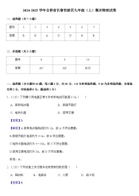 2024-2025学年吉林省长春市新区九年级(上)期末物理试卷+答案