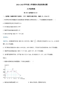 2024-2025学年山东省临沂市兰山区九年级上学期期末物理试题+答案