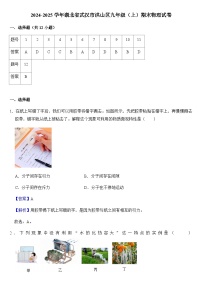 2024-2025学年湖北省武汉市洪山区九年级（上）期末物理试卷+答案