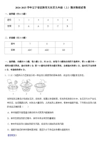 2024-2025学年辽宁省沈阳市大东区九年级(上)期末物理试卷+答案