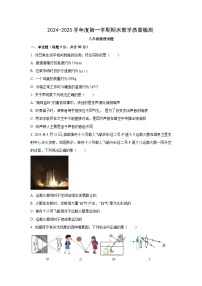 河北省石家庄市栾城区2024-2025学年八年级上学期期中考试物理试卷