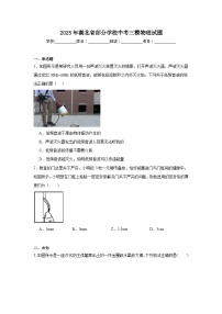 2025年湖北省部分学校中考三模物理试题(无答案)