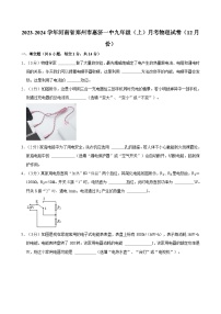 河南省郑州外国语学校惠济校区2023-2024学年九年级上学期12月月考物理试卷