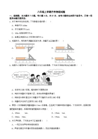 广东省茂名市2025年八年级上学期月考物理试题附答案