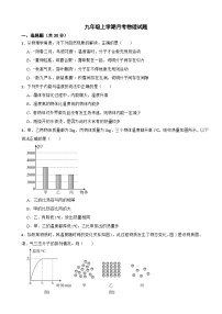 广东省广州市2025年九年级上学期月考物理试题附答案