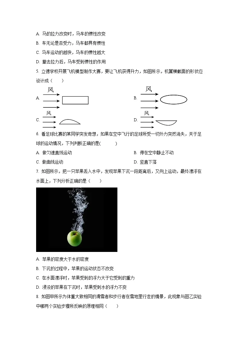 福建省厦门市翔安区2024-2025学年八年级下学期期末考试物理试卷(学生版)第2页