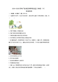 广东省深圳市宝安区2024-2025学年八年级下学期期末物理试卷（学生版）