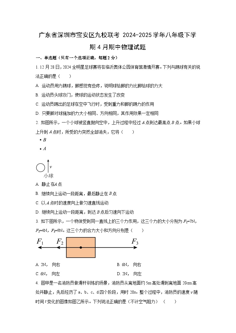 广东省深圳市宝安区九校联考2024-2025学年八年级下学期期中物理试卷（学生版）