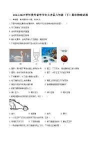 2024-2025学年贵州省毕节市大方县八年级(下)期末物理试卷-自定义类型
