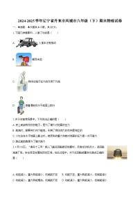 2024-2025学年辽宁省丹东市凤城市八年级（下）期末物理试卷-自定义类型