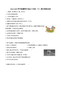 2024-2025学年新疆喀什地区八年级（下）期末物理试卷-自定义类型