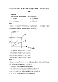 广东省深圳市龙岗区2024-2025学年九年级上学期期中考试物理试卷