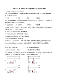 2025年广东省深圳市中考物理第三次适应性试卷-自定义类型