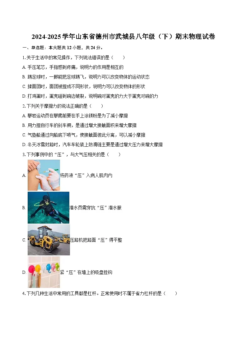 2024-2025学年山东省德州市武城县八年级(下)期末物理试卷-自定义类型第1页