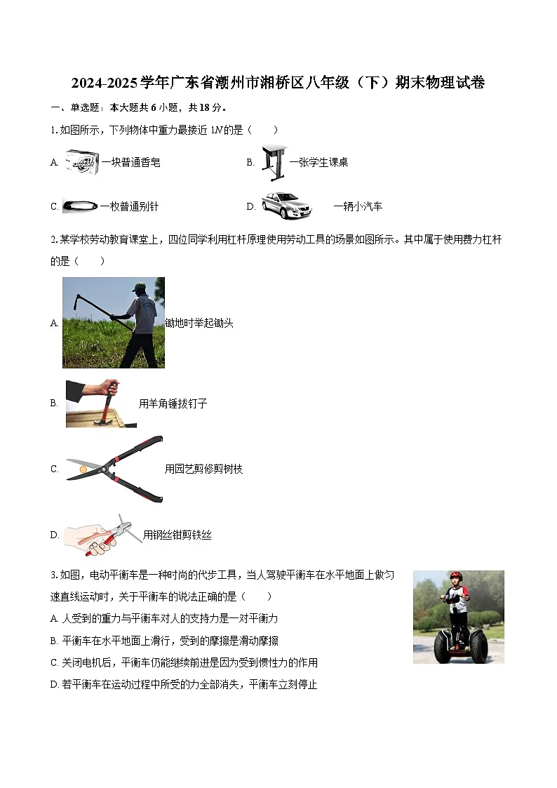 2024-2025学年广东省潮州市湘桥区八年级(下)期末物理试卷-自定义类型第1页