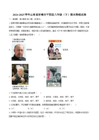 2024-2025学年山东省济南市平阴县八年级(下)期末物理试卷-自定义类型
