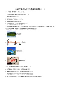 2025年重庆八中中考物理模拟试卷（一）-自定义类型
