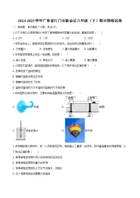 2024-2025学年广东省江门市新会区八年级（下）期末物理试卷-自定义类型