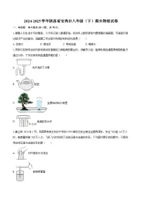 2024-2025学年陕西省宝鸡市八年级（下）期末物理试卷-自定义类型