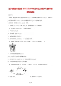 辽宁省朝阳市凌源市2024_2025学年度九年级上册（11月）期中物理试卷【答案】